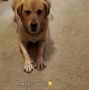 Feel free to make an offer